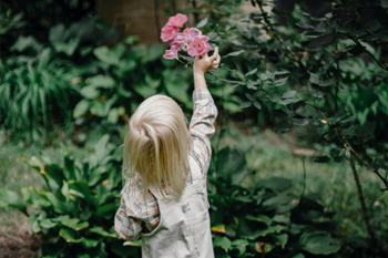 Make time to stop and smell the roses